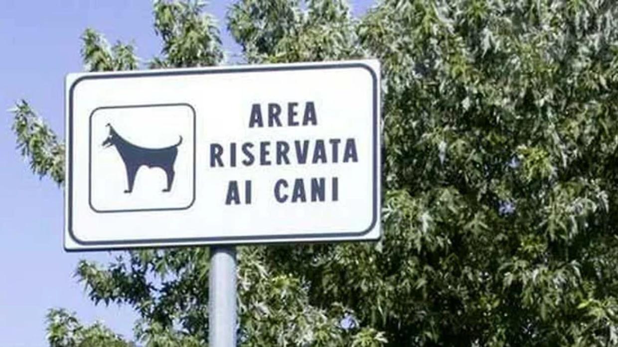 Area cani chiusa fino al 31 marzo: stop temporaneo per far crescere il nuovo prato