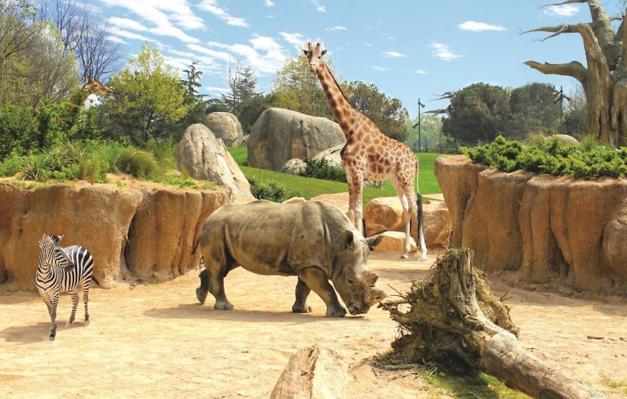 Zoom Torino cerca personale: ecco i posti disponibili e come candidarsi