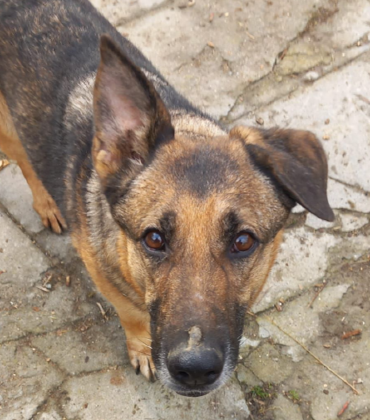 Un incidente le ha portato via la mamma. Ora &egrave; sola