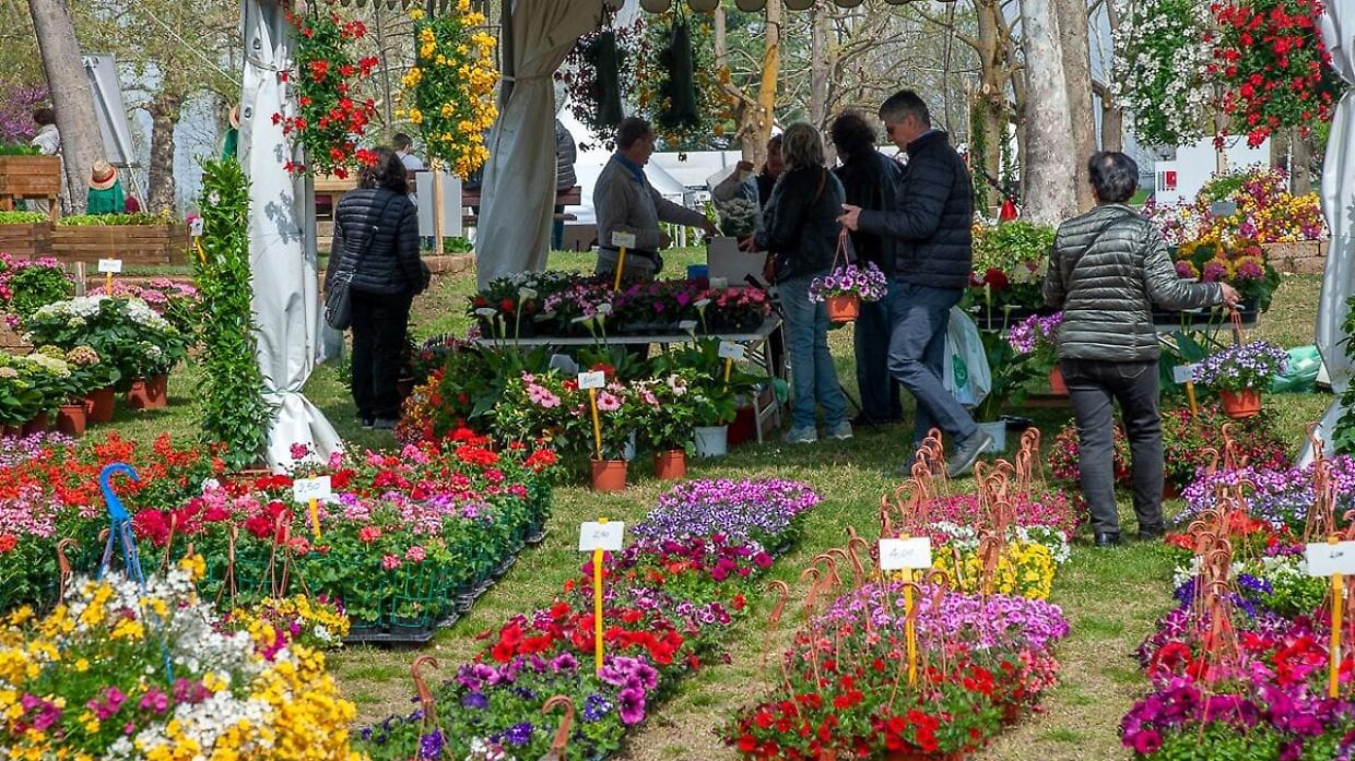 Fiori, giardini e mercatini