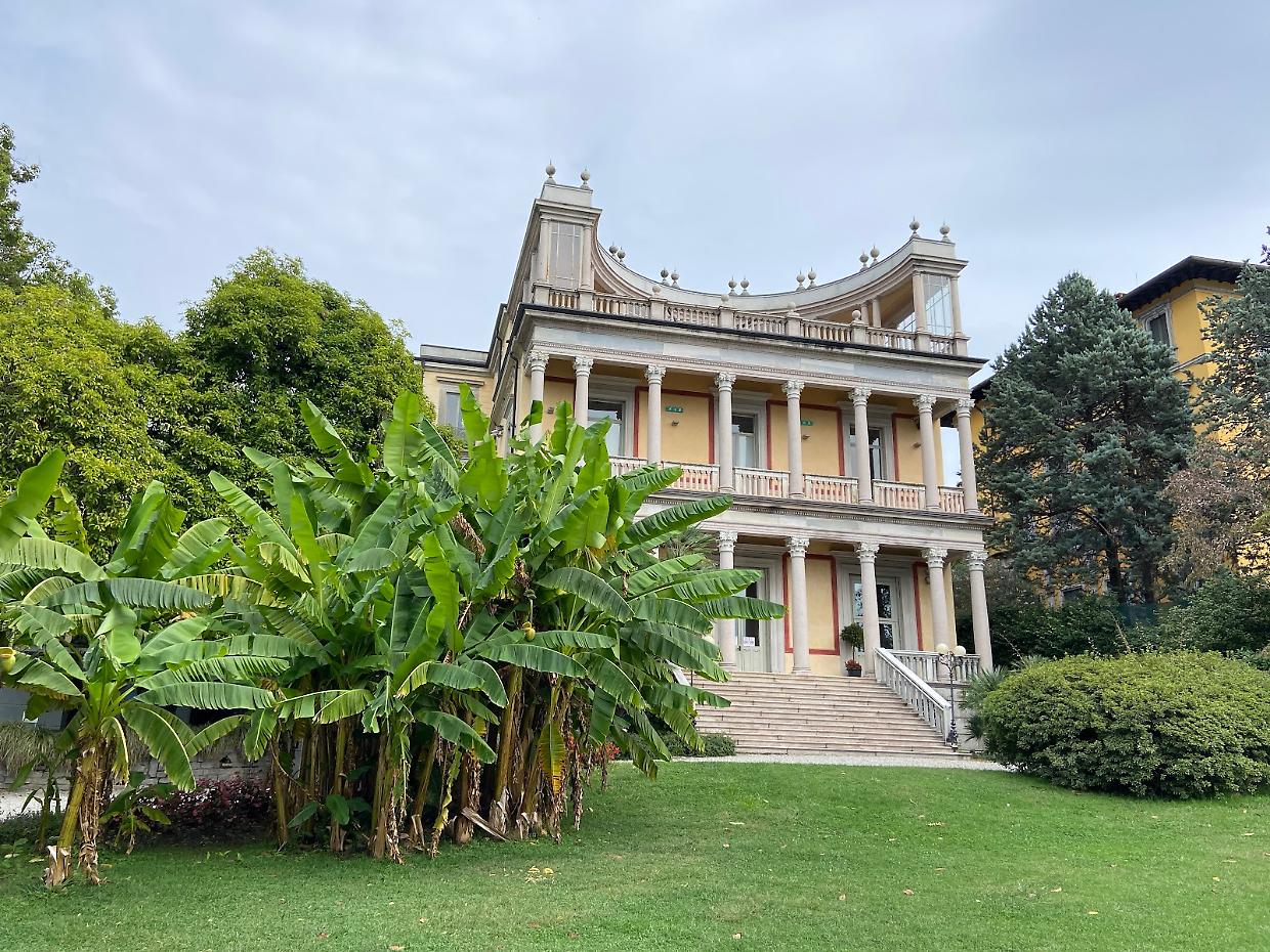 Verbania, torna la Mostra della camelia: oltre 200 variet&agrave; e ingressi gratis nel weekend