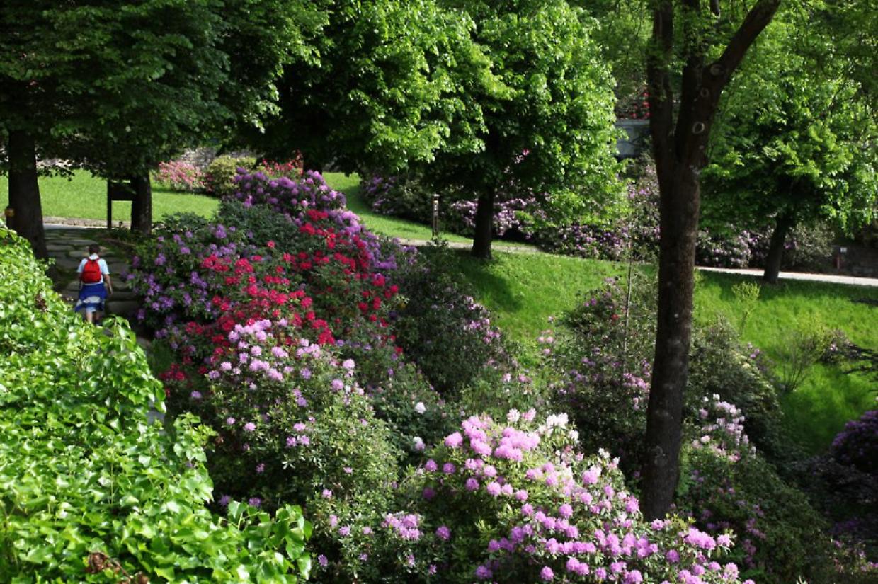 Oasi Zegna, il tempio delle gite fuoricitt&agrave;: l'avventura formato famiglia poco lontana da Torino