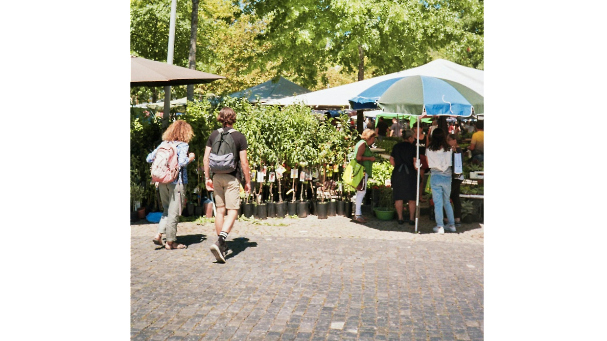 Carmagnola sboccia con "Ortoflora & Natura": l'11 e 12 aprile torna la storica rassegna del verde