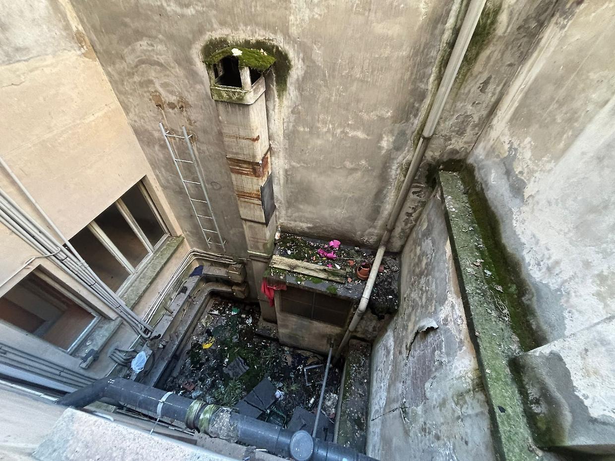 Cane cade dal terzo piano, la padrona si cala nel cortile per salvarlo: rischia una denuncia