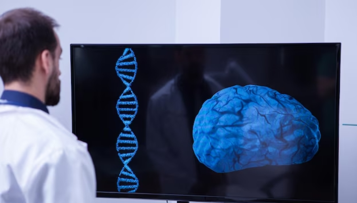 L'IA che imita il cervello dei primati: un modello "minuscolo" per sconfiggere l'Alzheimer