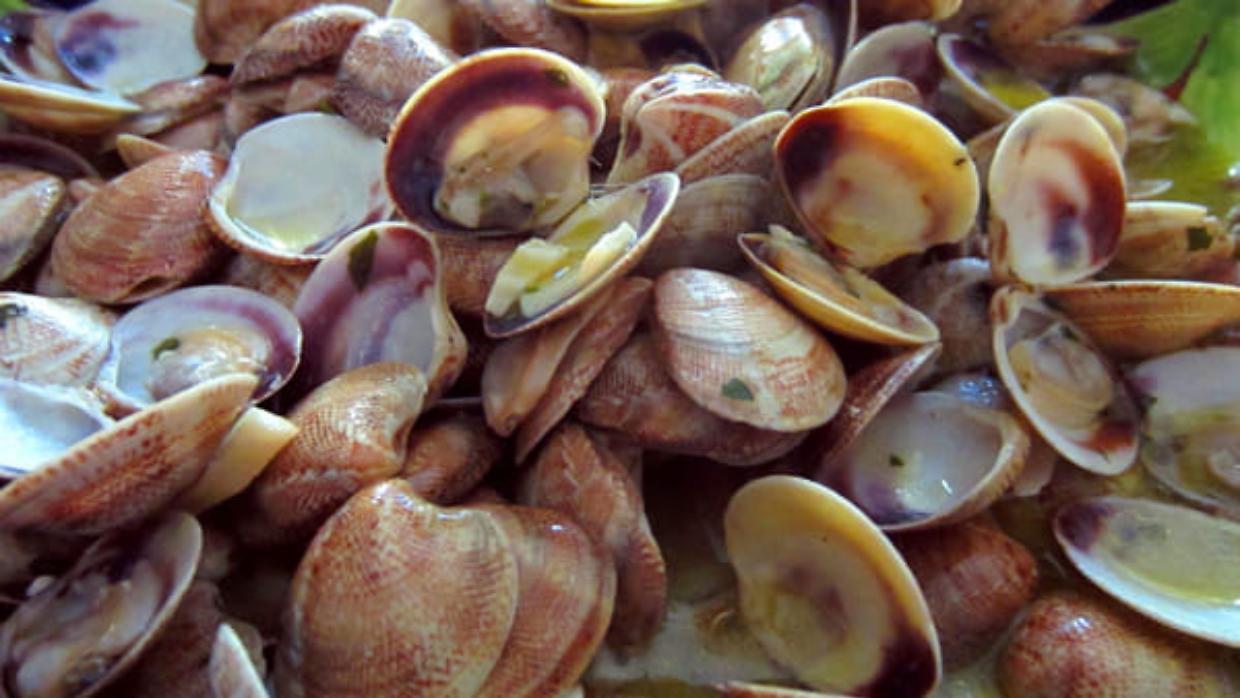 Come si &egrave; diffusa l&rsquo;epatite A: origine del focolaio e dinamiche del contagio