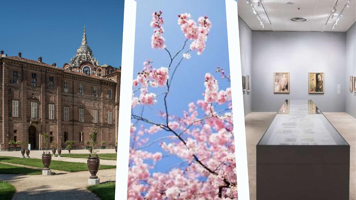 Torino capitale della cultura: la primavera 2026 tra grandi maestri e memoria storica