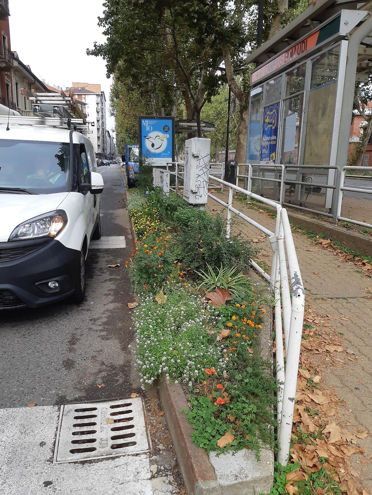 Aiuole contro il degrado