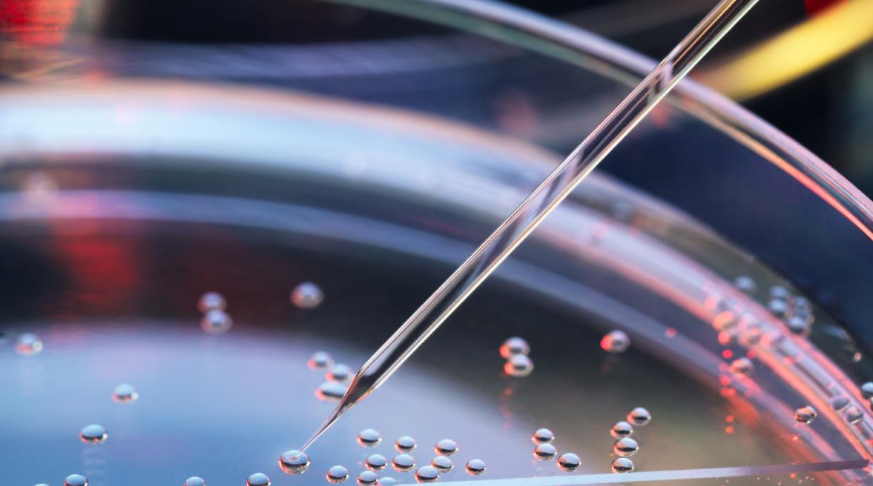 Torino al centro della medicina del futuro