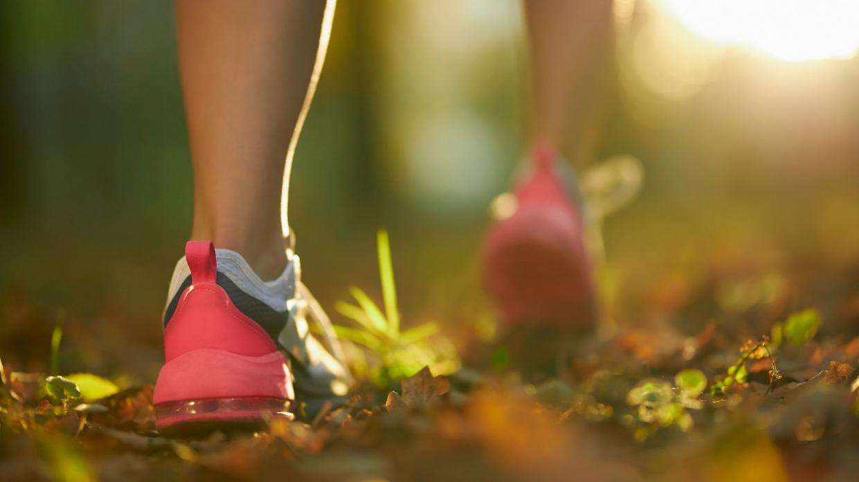 Trofarello si rimette in cammino: tornano le Camminate Dinamiche tra natura e storia