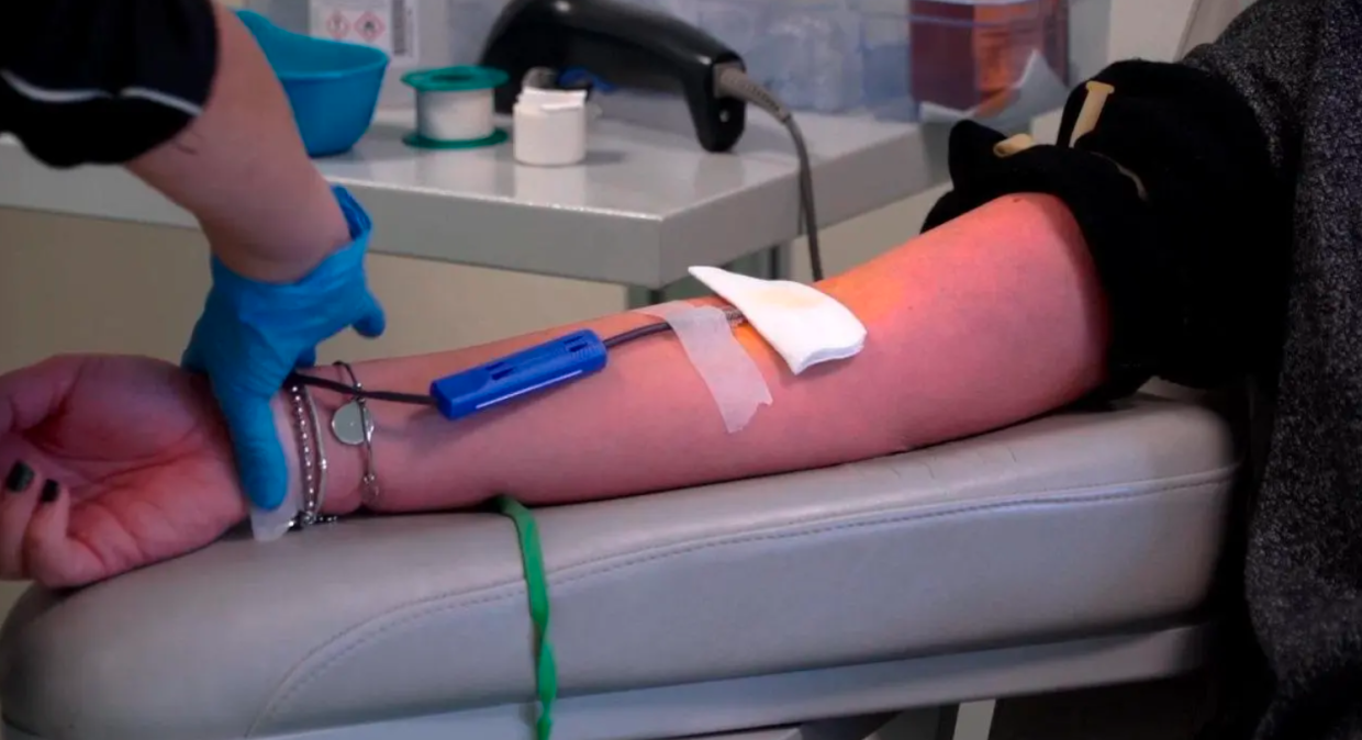 Litri di plasma buttati nelle Marche: il caso sbarca in Parlamento