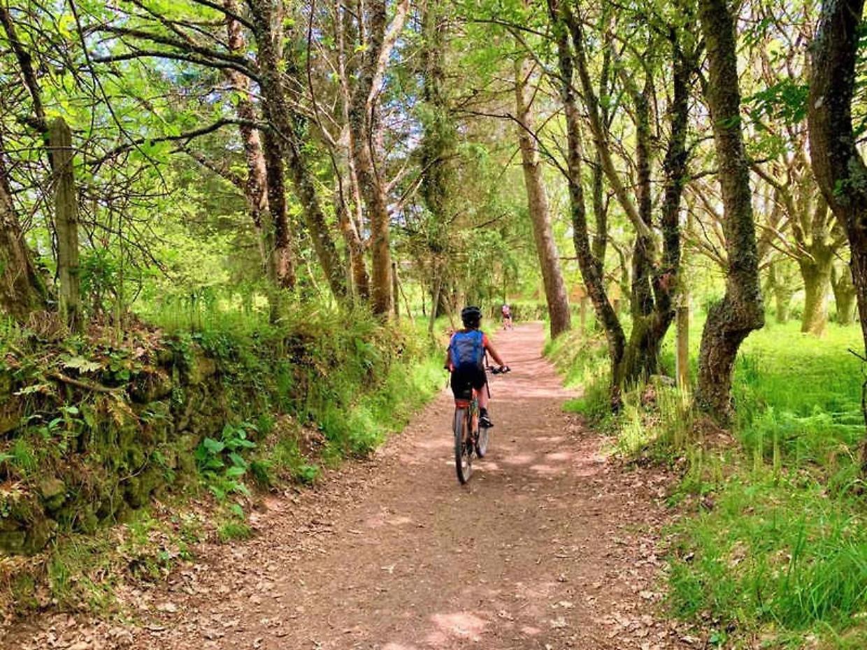 Cicloturismo, in Italia 49 milioni di presenze nel 2025