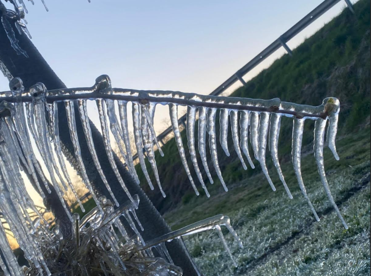 Nel Torinese si ghiacciano i campi: il maltempo torna all'attacco