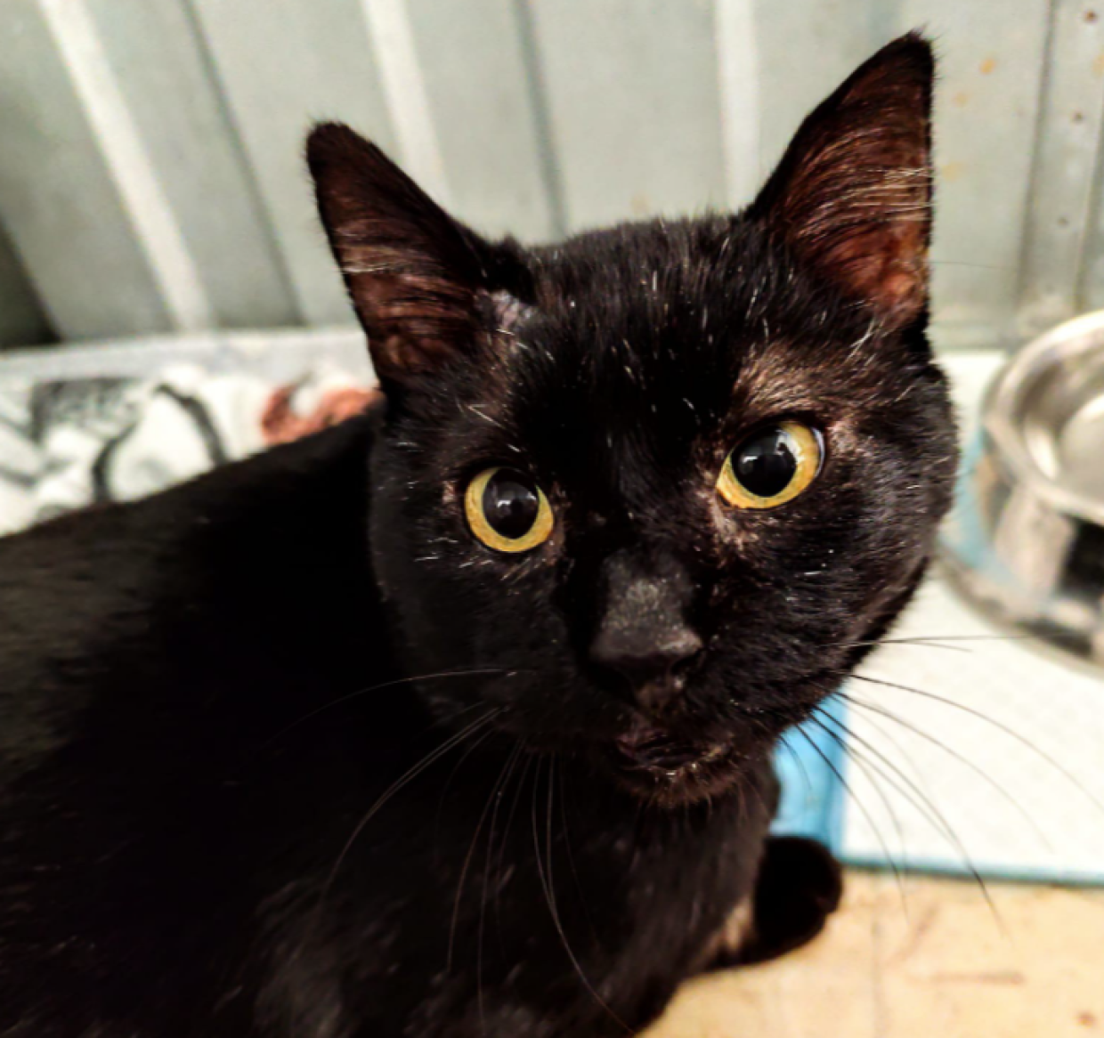 Dovr&agrave; prendere medicine per tutta la vita. La storia di Rio