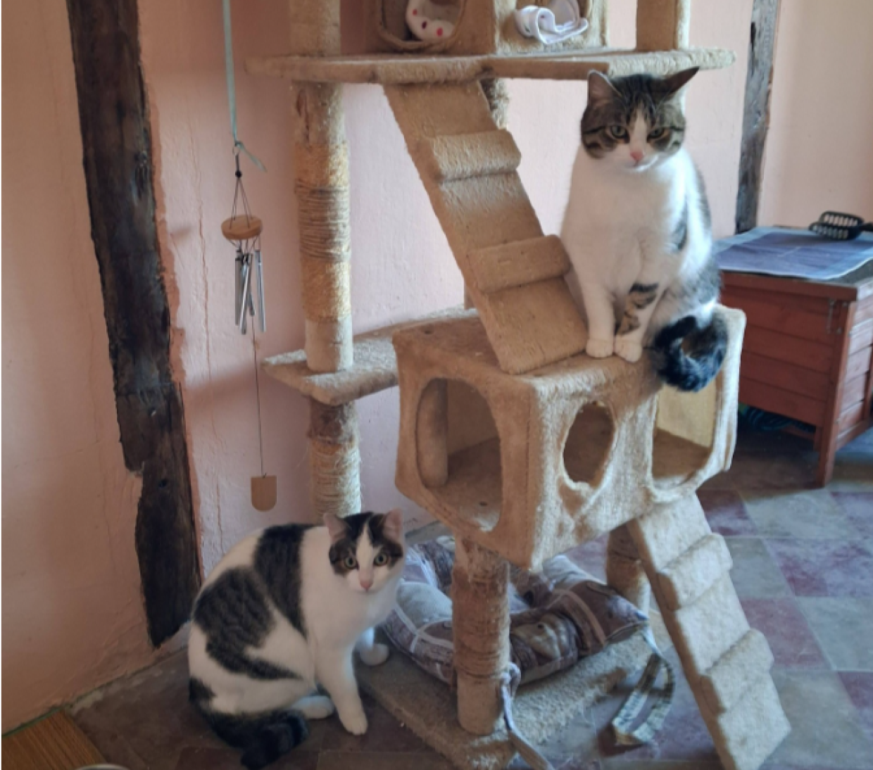 Destino crudele... due fratellini rimasti soli