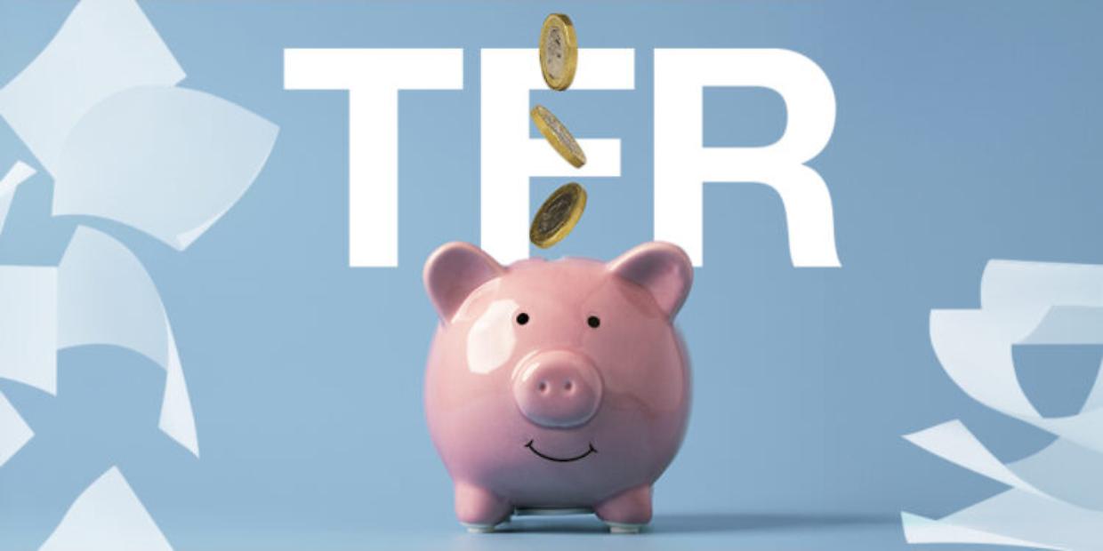 TFS e TFR, cambiano i tempi di pagamento: cosa sapere sulle nuove regole INPS