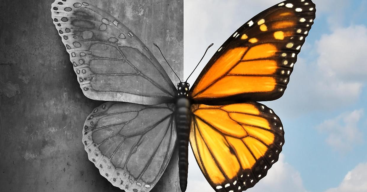 World Bipolar Day, il 30 marzo si accendono i riflettori su una "galassia enigmatica"