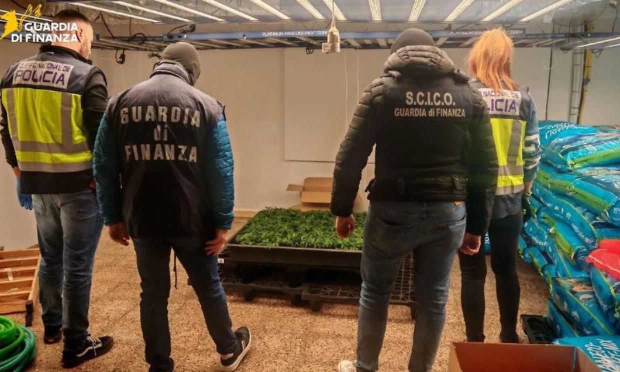 Blitz internazionale: 20 arresti per traffico di droga tra Italia e Spagna
