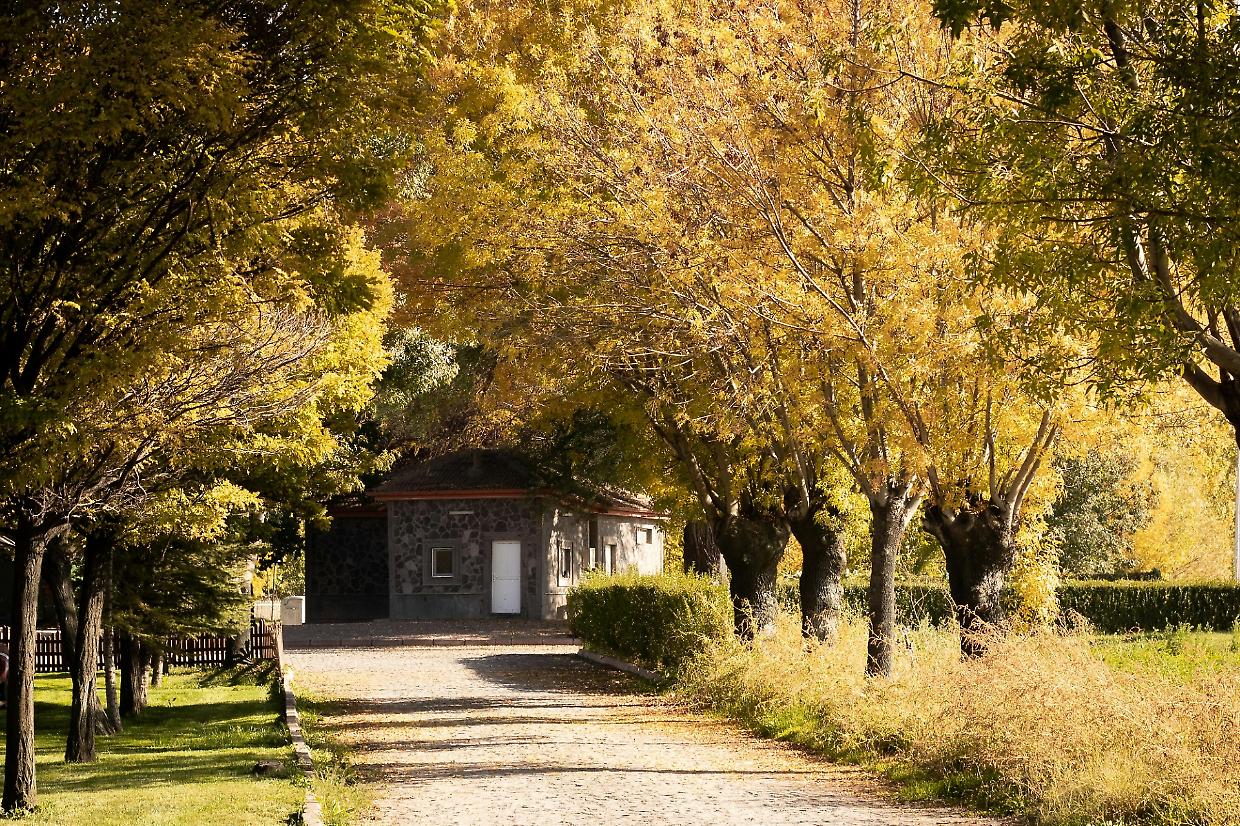 Scienze in cascina: tre giorni per imparare facendo alla CollinaPo