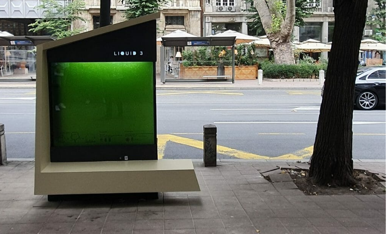 Tecnologia contro lo smog: arriva l'albero liquido che "respira" come cinquanta piante