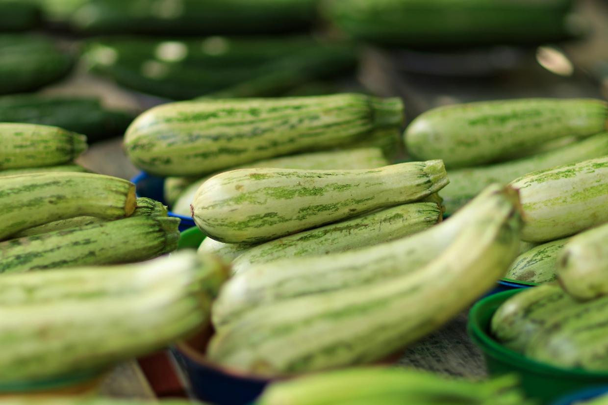 La Loggia celebra l'estate con la Fiera dello Zucchino