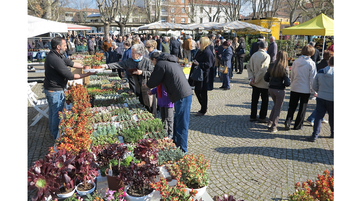 Pasquetta a Bra tra sapori e storia: la Fiera Zootecnica festeggia 150 anni