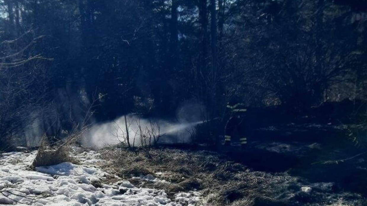 Incendio a Druogno: sterpaglie in fiamme nei boschi della Valle Vigezzo