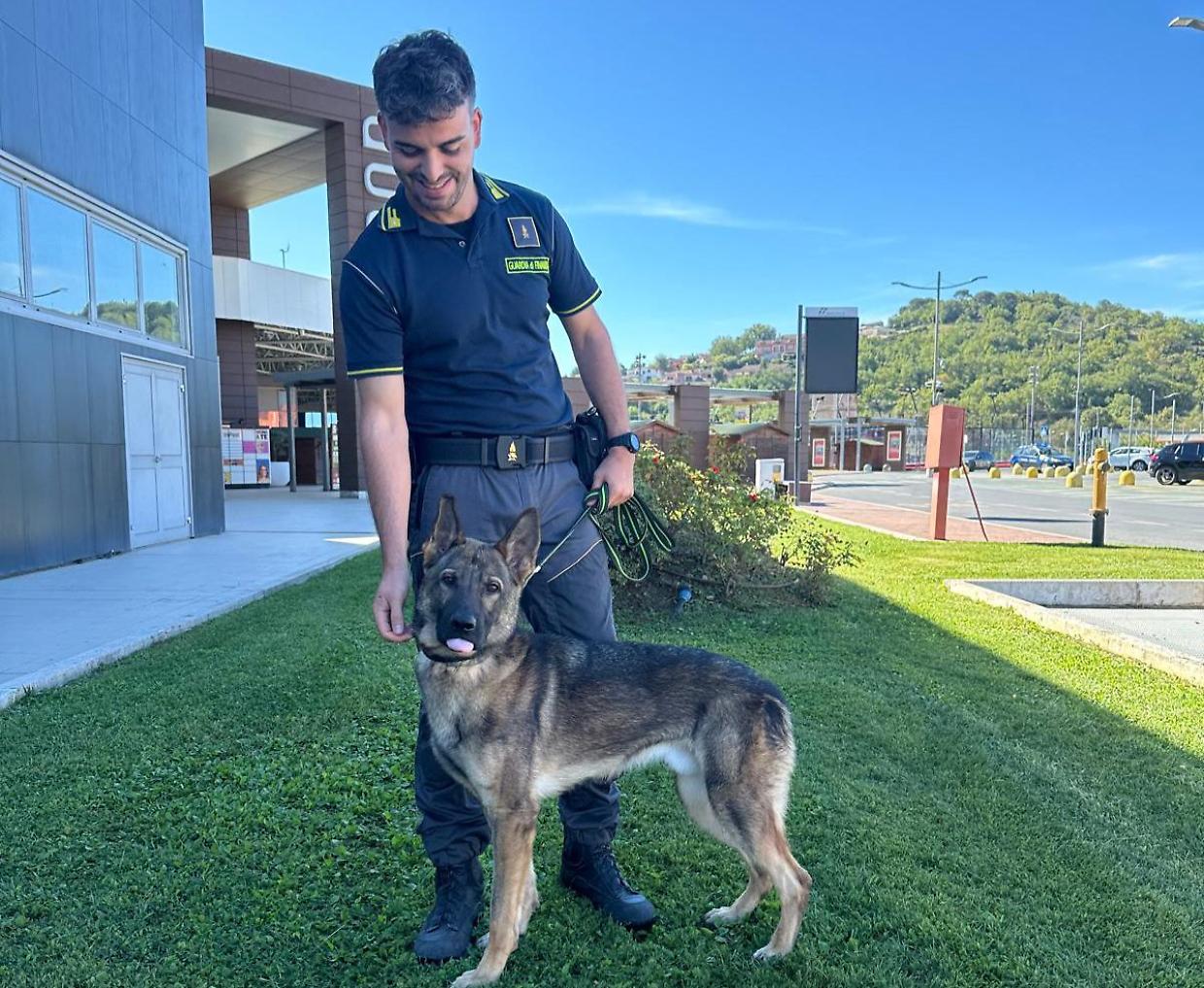 Nasko ferma una valigia dalla Spagna: nove chili di droga sequestrati a Torino