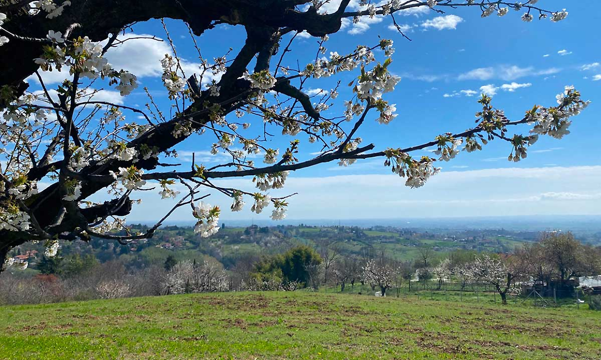 Chierese e Alto Astigiano si accendono: 50 attivit&agrave; gratuite per la prima Giornata dell&rsquo;energia sociale