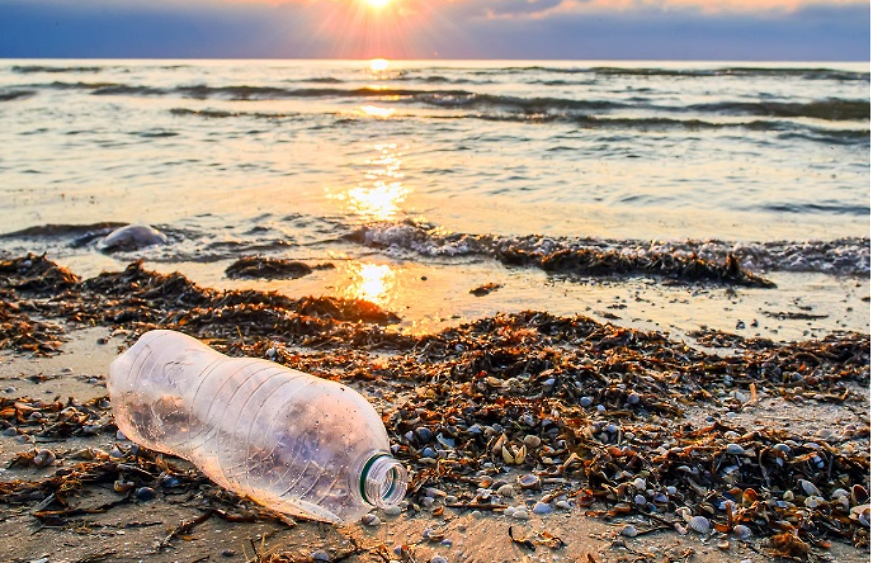 Dall'adriatico al tirreno, l'Italia si unisce contro la plastica: nasce l'Alleanza dei Comuni