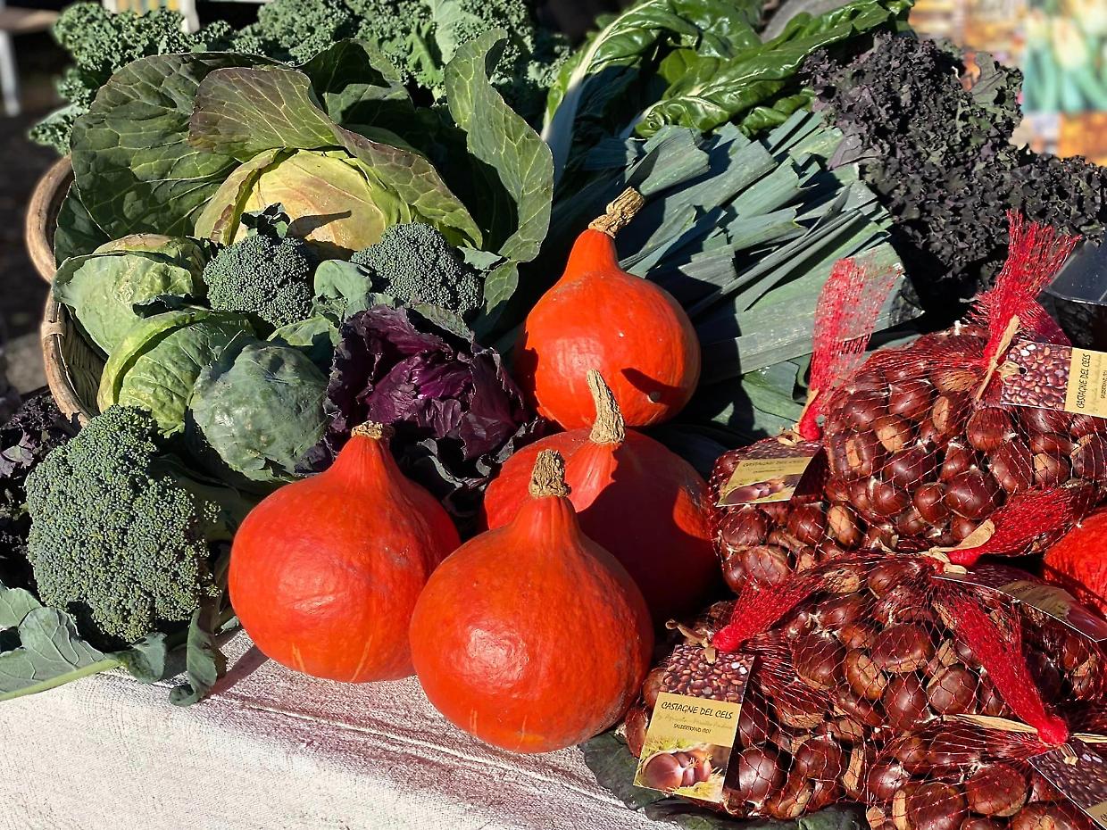 Nasce il Distretto del Cibo di montagna