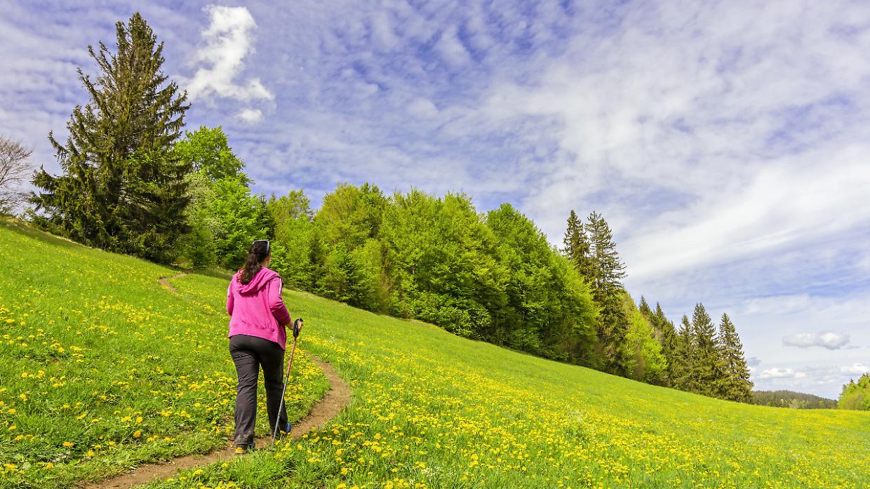 Torna la Camminata della Pace: da Ciri&eacute; a Lanzo un percorso tra natura e solidariet&agrave;