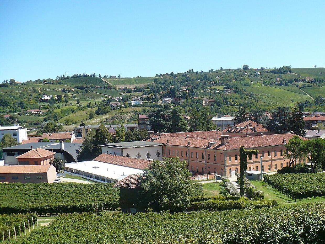 Alba Music Festival: domenica il doppio appuntamento con Bacco e Orfeo