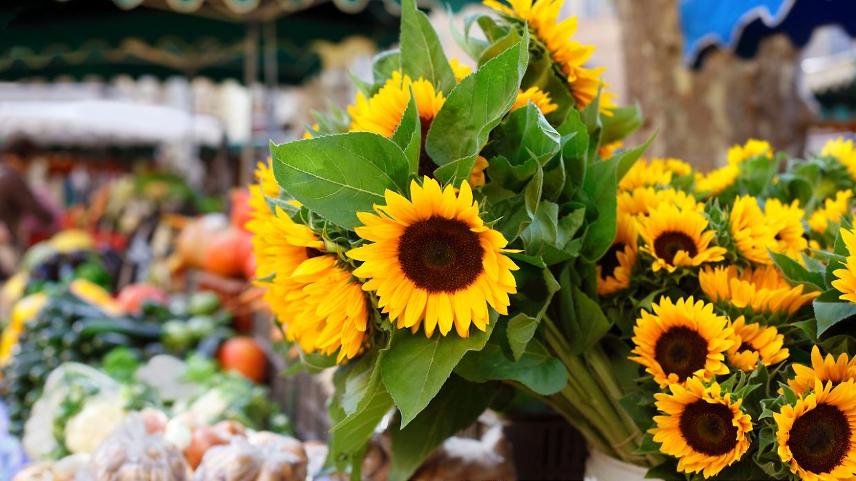 A Bairo torna il Mercatino di Primavera: artigianato, sapori e musica per una domenica di comunit&agrave;