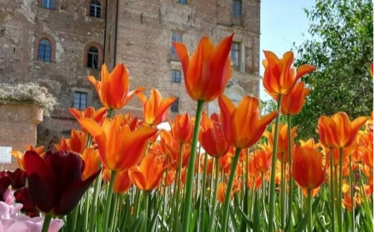 Aprile a Santena, un calendario che unisce arte, natura e memoria