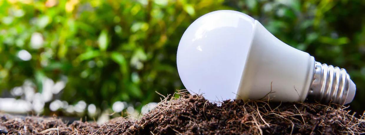 Addio lampadine, avanti fotovoltaico: il Piemonte brilla nella raccolta RAEE