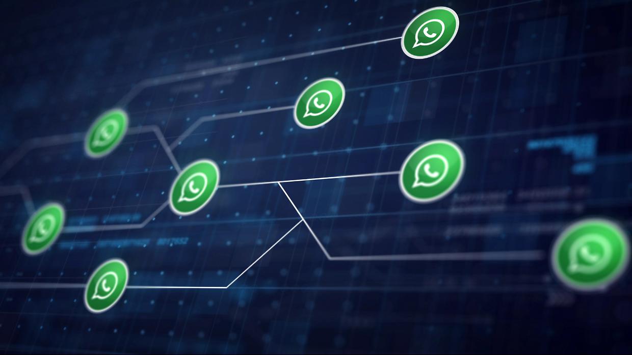 WhatsApp cambia tutto: arrivano gli username, addio (quasi) al numero di telefono