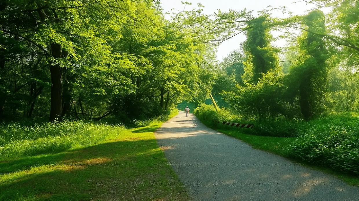 Nichelino punta sul futuro green: al Boschetto nasce un&rsquo;oasi urbana tra natura e ricerca