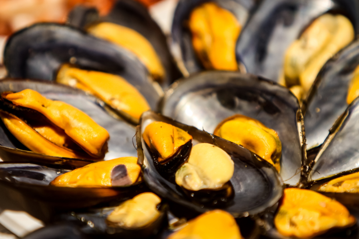 Epatite A, scatta il blocco delle cozze: 7 campioni positivi al Lago Fusaro