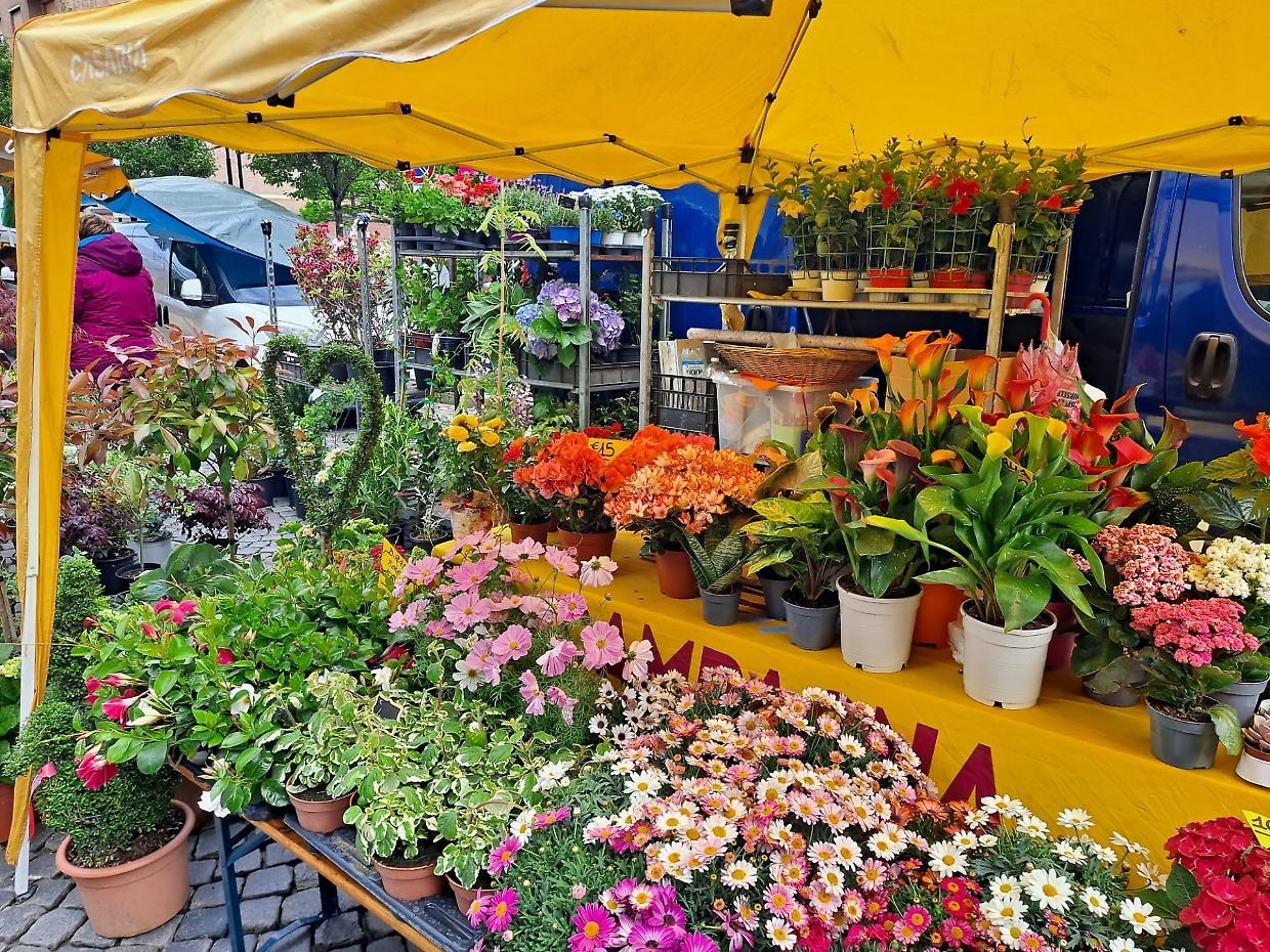 Rivoli celebra la Terra