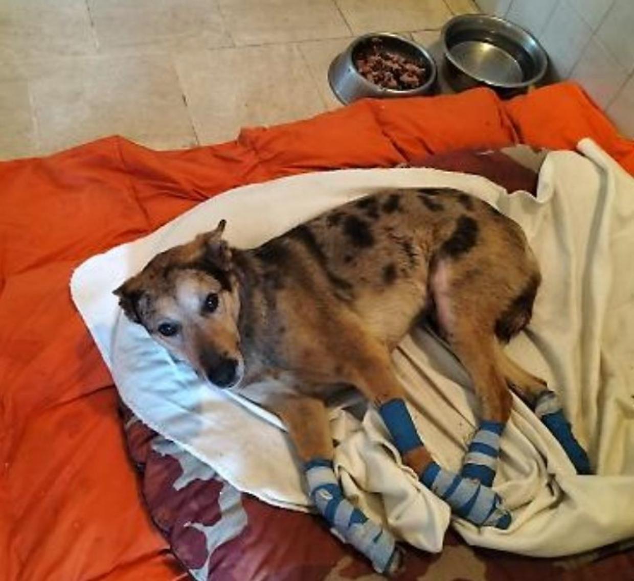 Trascinato per chilometri