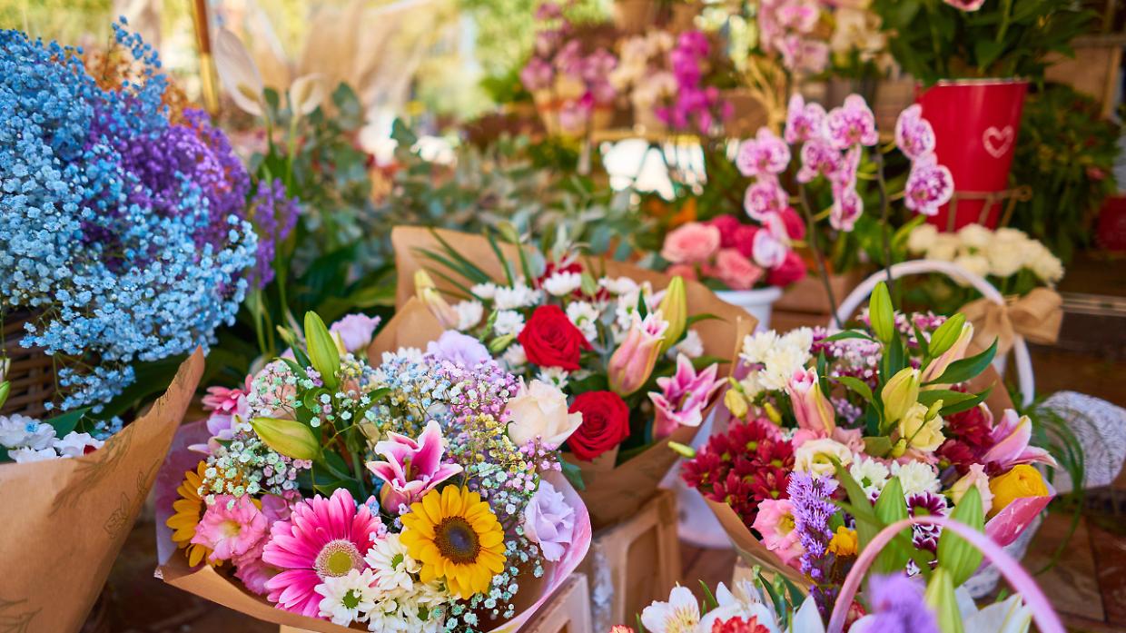 Primavera al Castello: a Santena un&rsquo;intera giornata tra fiori, cultura e natura