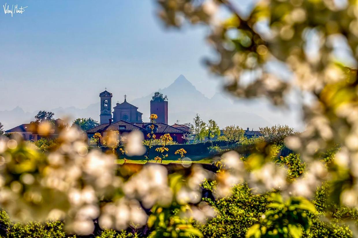 Pecetto raccontata da Valerio Minato: ciliegie e Monviso in un unico scatto