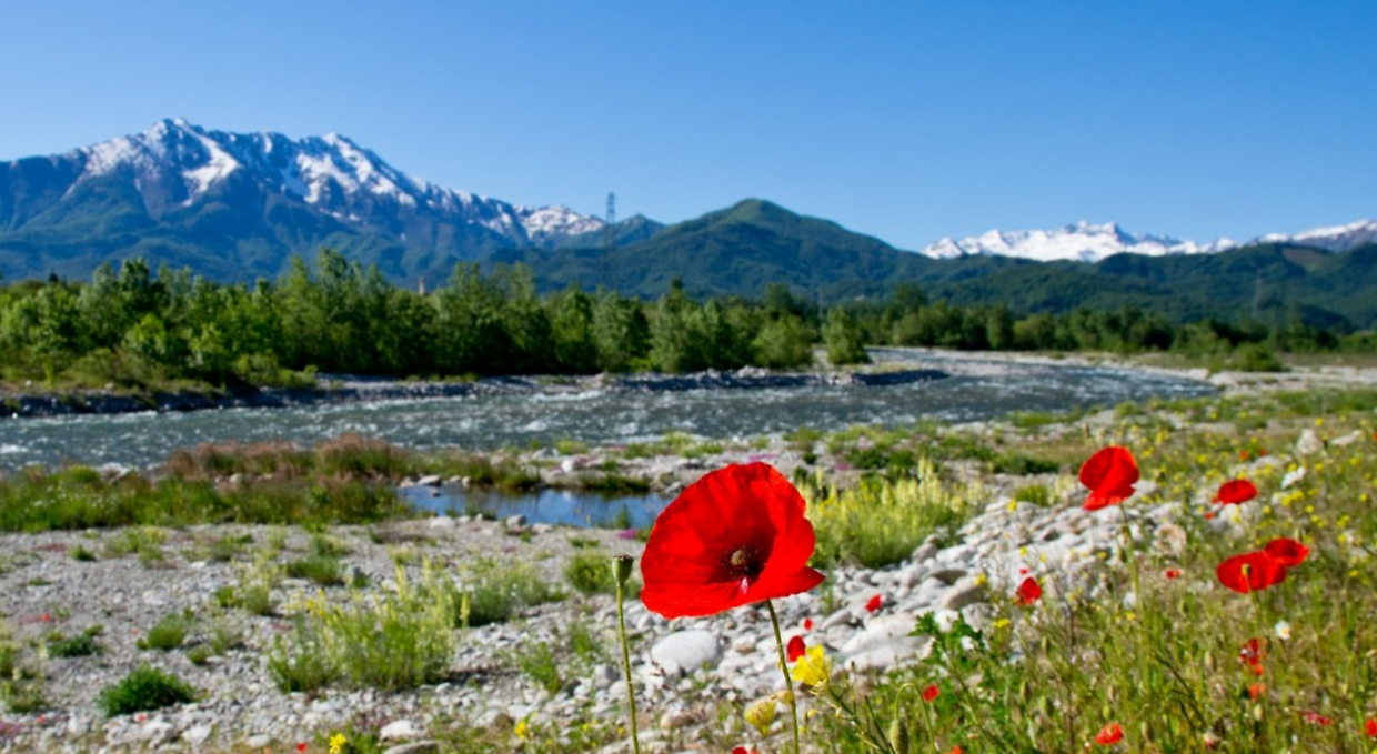 Primavera in Piemonte: il parco segreto dove ammirare il risveglio della natura