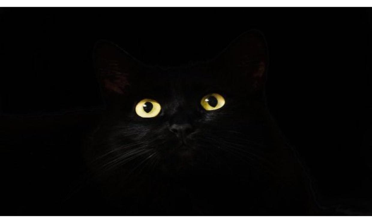 Perch&eacute; si dice che venerd&igrave; 17 porti sfortuna?