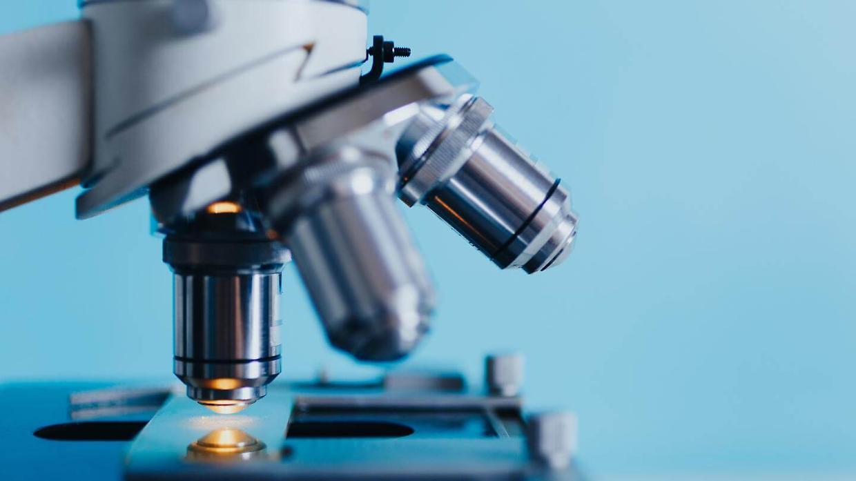 Tumori e malattie croniche, da Novara la scoperta che pu&ograve; fermare l&rsquo;atrofia muscolare