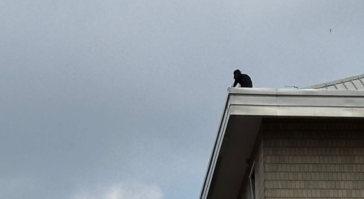 Santa Rita, minaccia di buttarsi dal palazzo: ad agosto era salito sul Filadelfia per suicidarsi