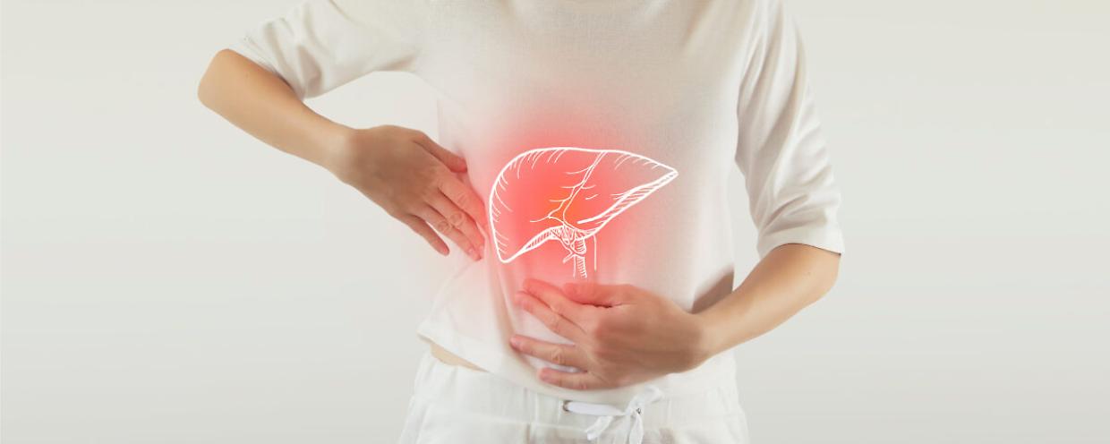 Giornata Mondiale del Fegato, l&rsquo;importanza della prevenzione per un organo vitale