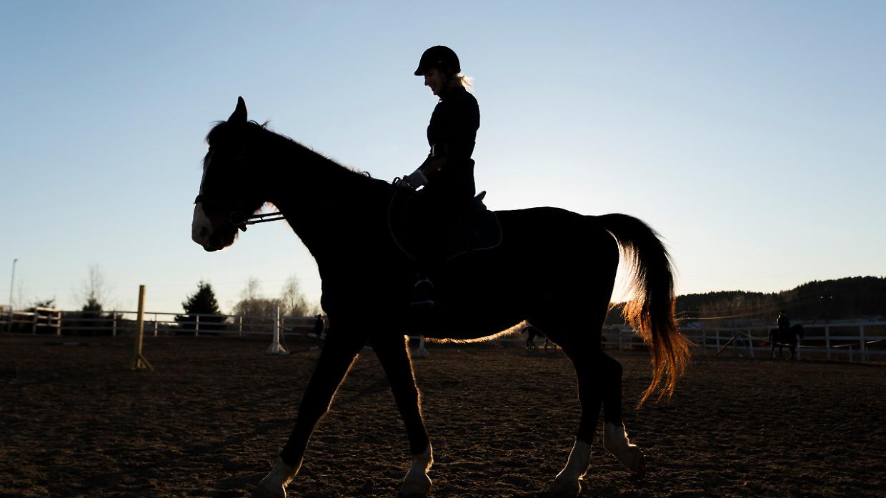 Pinerolo si accende con la Fiera di Primavera: 250 stand, cavalli e spettacoli in tutta la citt&agrave;