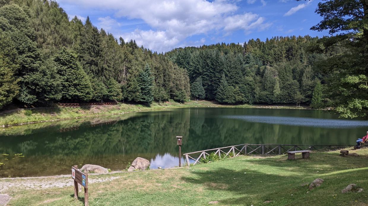 Nel cuore del Canavese con gli asini: la camminata &ldquo;Asinaria&rdquo; tra boschi, laghi e sapori piemontesi